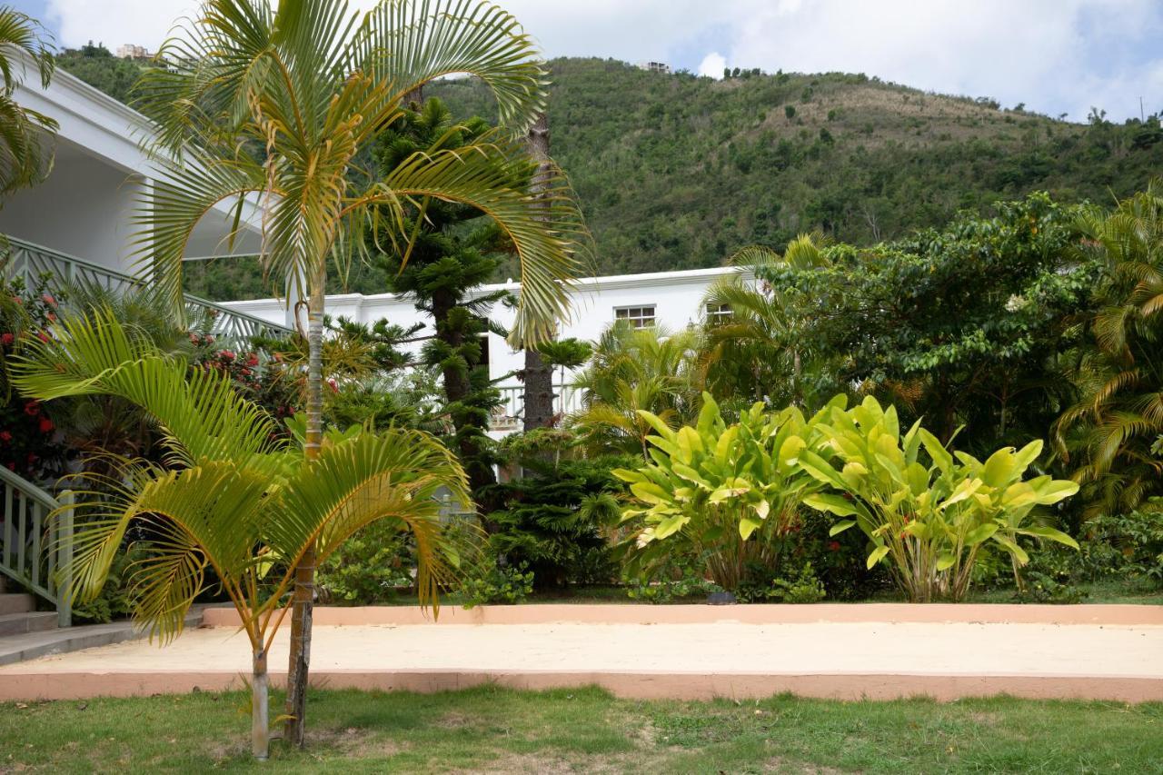 Icis Villas Brewers Bay Eksteriør bilde